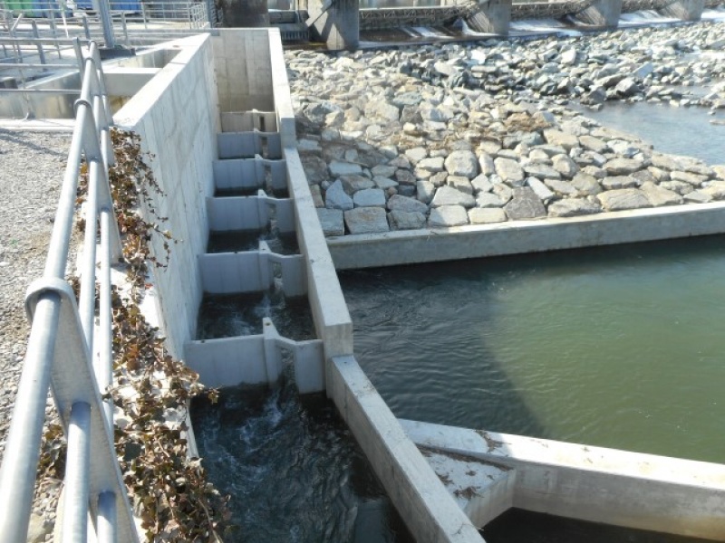 Scala di rimonta della fauna ittica per centrali idroelettriche